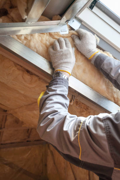 Best Insulation Maintenance and Repair in Breckenridge, MI
