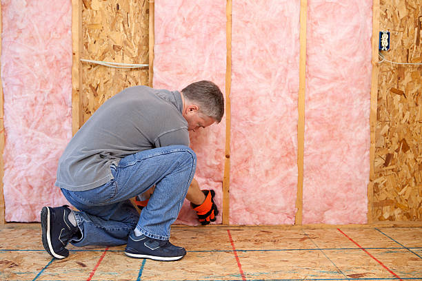 Best DIY Insulation Kits and Guidance in Breckenridge, MI