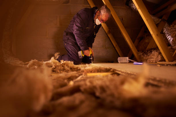 Best Energy Efficiency Insulation in Breckenridge, MI