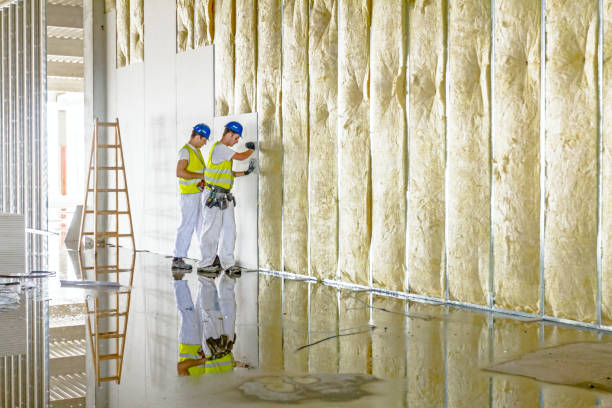Best Insulation for Specific Applications in Breckenridge, MI